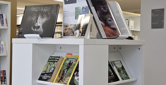 Table thématique sur les primatologues femmes