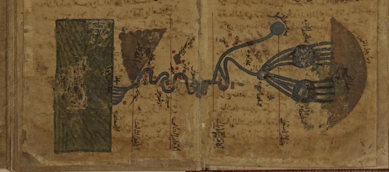 Manuscrits_de_la_Bibliothèque_nationale_